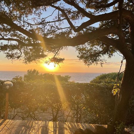 Villetta Dei Ginepri Costa Paradiso Εξωτερικό φωτογραφία