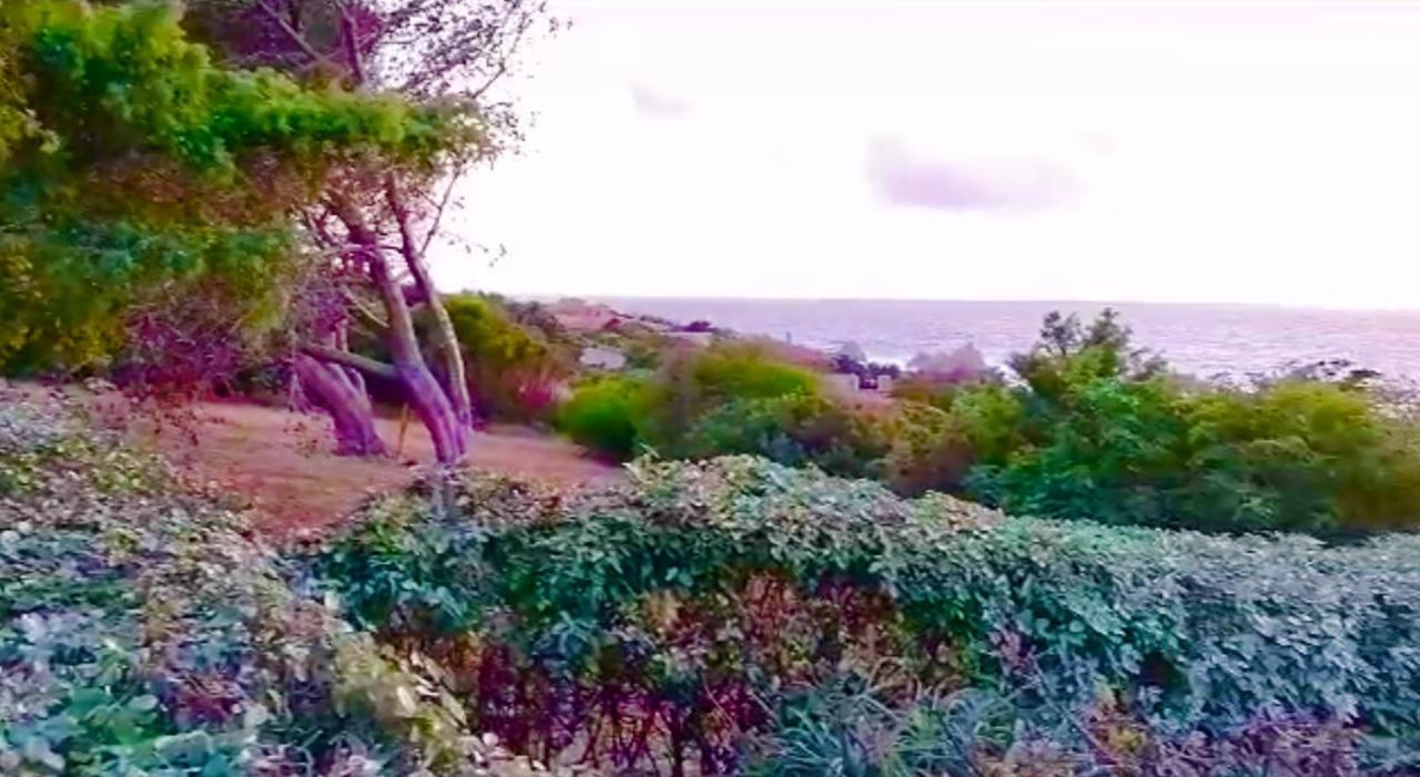 Villetta Dei Ginepri Costa Paradiso Εξωτερικό φωτογραφία