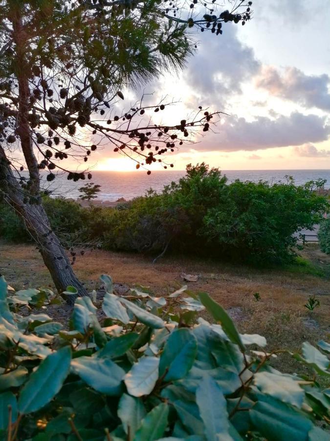 Villetta Dei Ginepri Costa Paradiso Εξωτερικό φωτογραφία