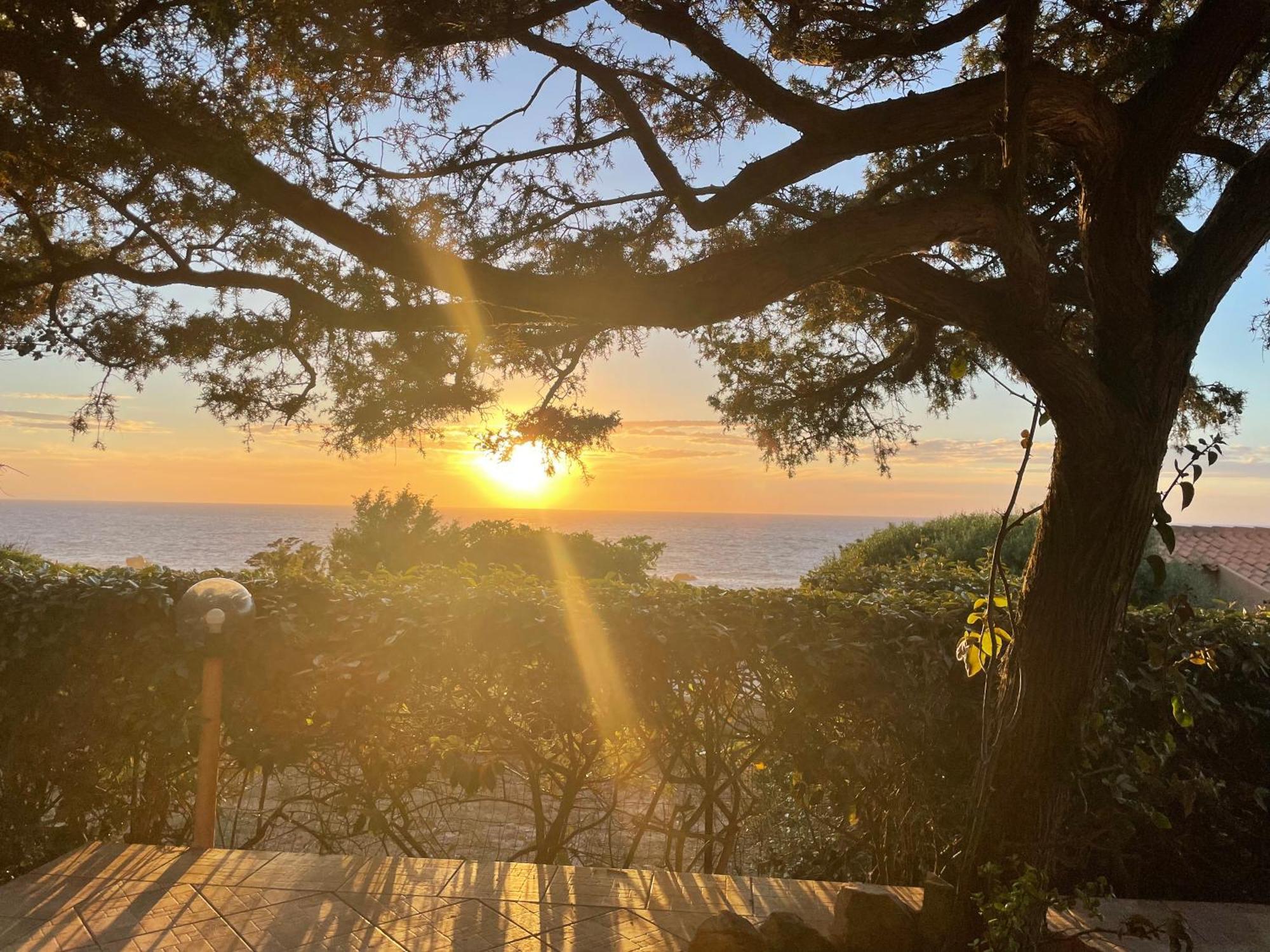 Villetta Dei Ginepri Costa Paradiso Εξωτερικό φωτογραφία